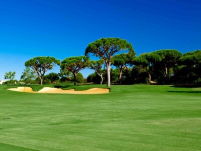 Beautiful landscape picture of a golf court with pine trees