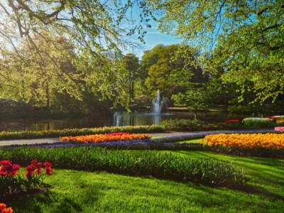 Keukenhof flower garden with blooming tulip flowerbeds. One of the world's largest flower gardens. Lisse, the Netherlands.