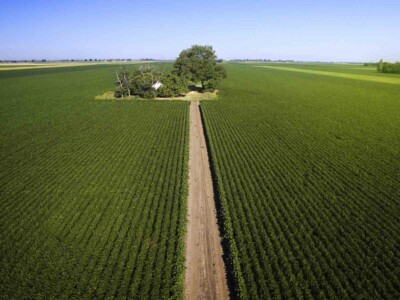 Early morning fying above agricultural soy fields