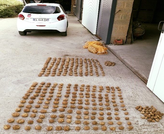 ESSAI POMMES DE TERRE DE PLANT
Grâce au produit LE REVIGORANT, notre client a récolté + 2 t/ha (+6,6%), (+14% tubercules variété Fontane), soit un bénéfice net de 405€/ha.
Merci à nos clients de leur confiance!
#lameleedesterroirs #fertilisation #pommedeterre